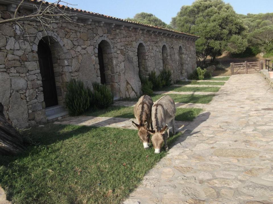 B&B L' Incantu Santa Teresa Gallura Exterior foto
