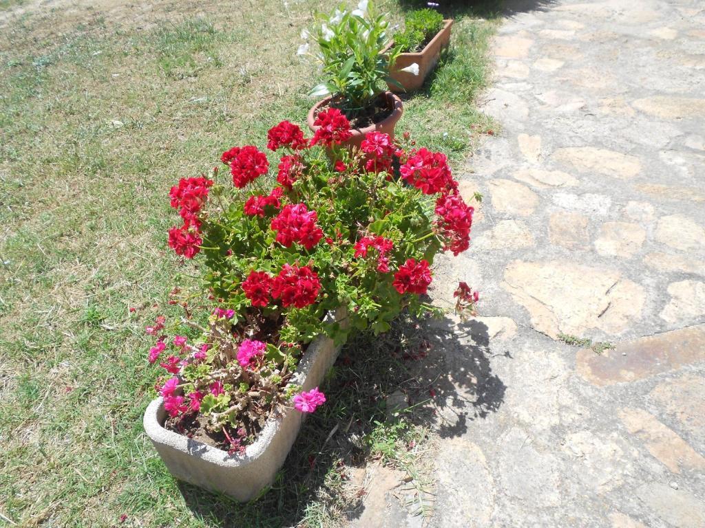 B&B L' Incantu Santa Teresa Gallura Exterior foto