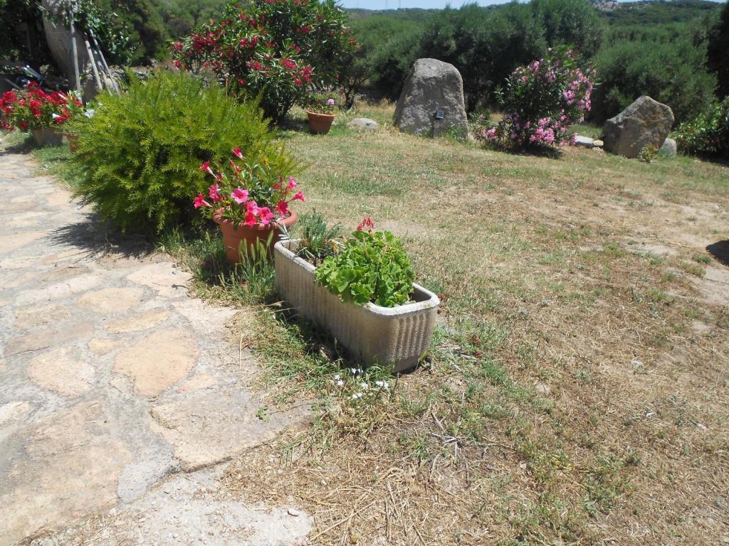 B&B L' Incantu Santa Teresa Gallura Exterior foto